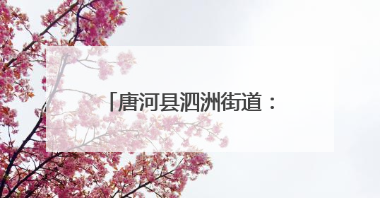 唐河县泗洲街道：防汛演练筑防线 未雨绸缪保安全